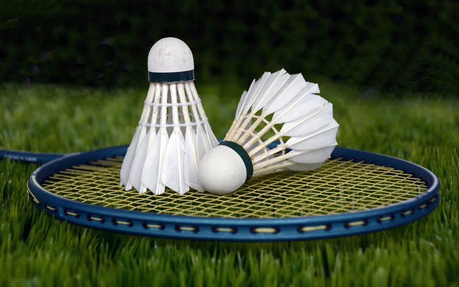 Badminton